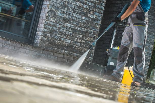 Best Animal Enclosure Cleaning  in Elmendorf, TX