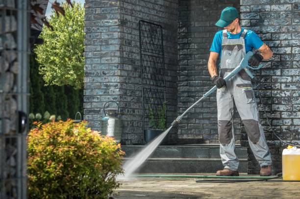 Best Building Exterior Washing  in Elmendorf, TX
