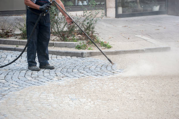 Best Winterizing Services  in Elmendorf, TX