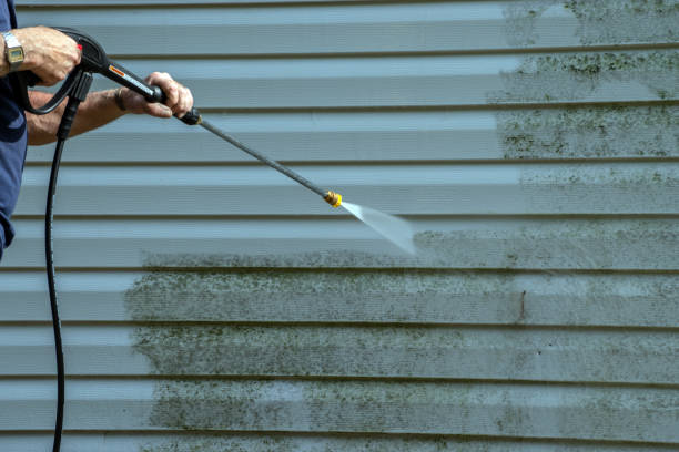 Best Driveway Pressure Washing  in Elmendorf, TX