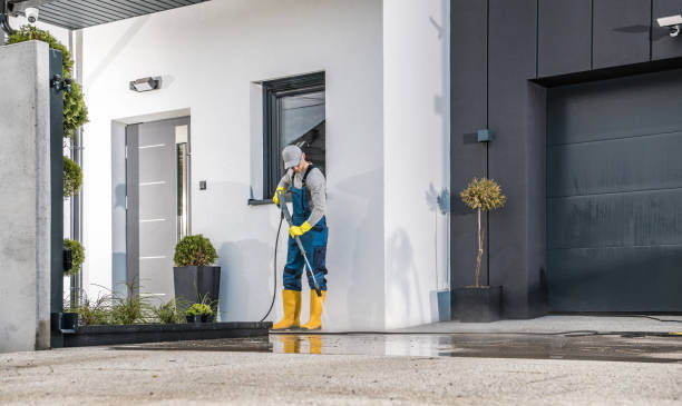 Best Pre-Holiday Cleaning  in Elmendorf, TX